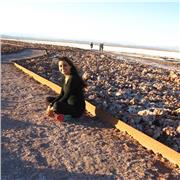 Clases particulares matemática, física, química e inglés